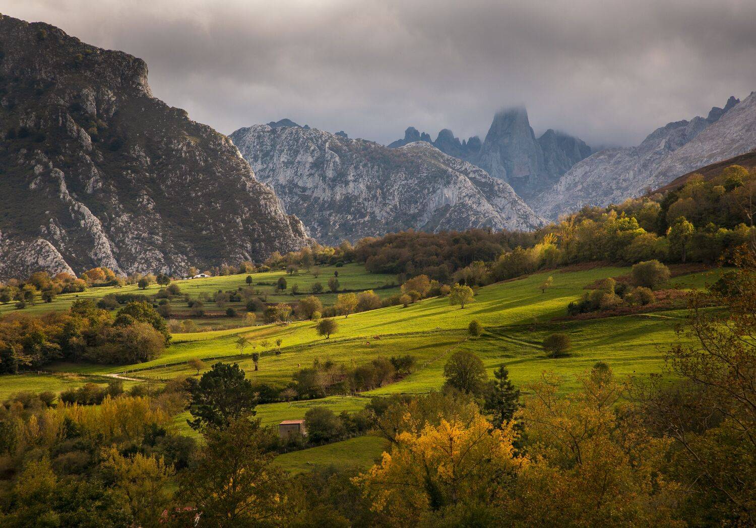 , Алекс Римский