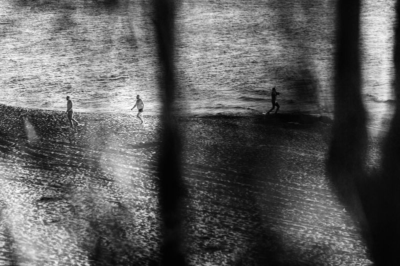street photography, street photo, bw, bnw, black and white, people, coast, sea, baltica, shore, trees, sands, черно-белое, черно-белая фотография, стрит, люди, пляж, балтика, море, деревья, *** фото превью
