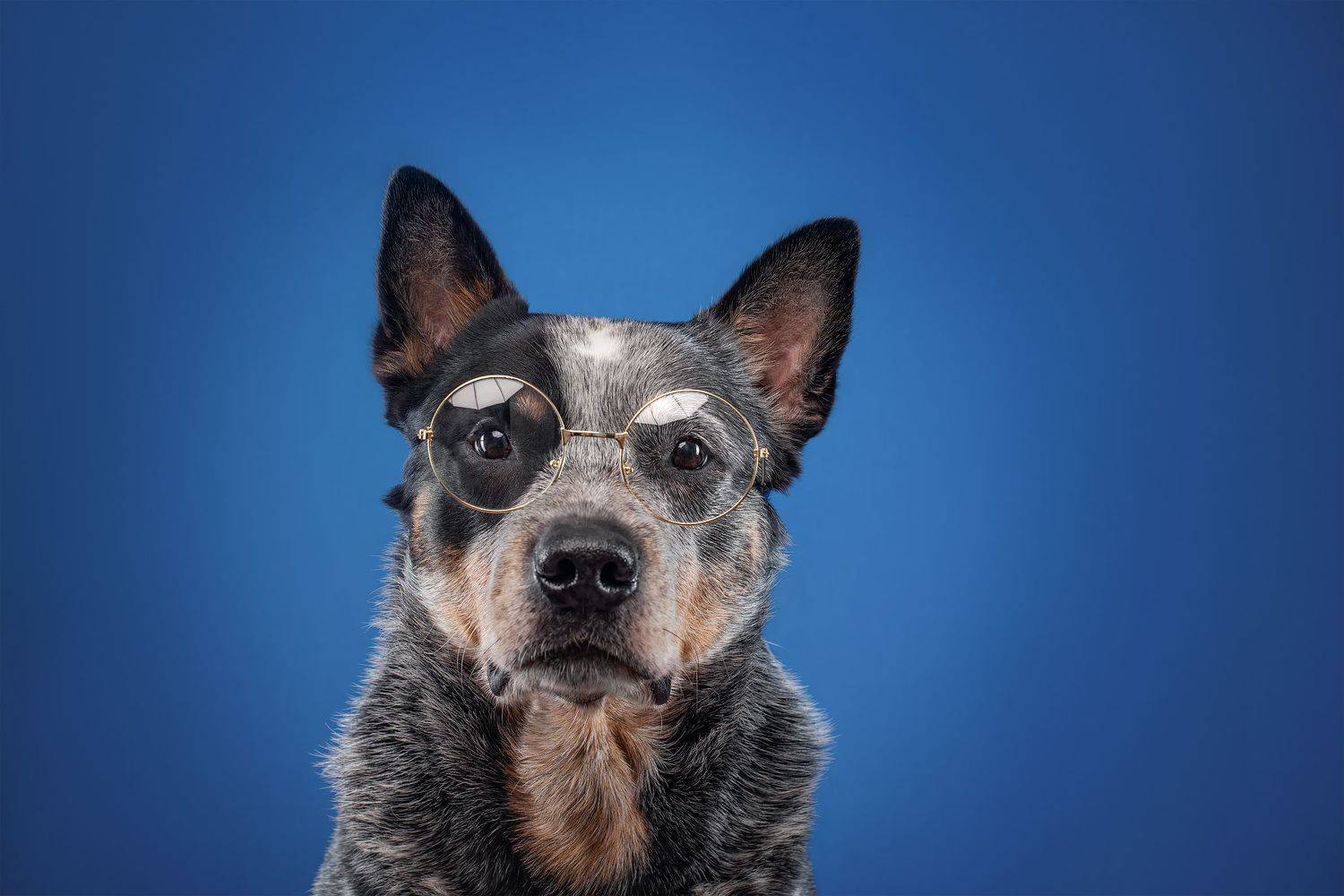 , Юлия Гончар