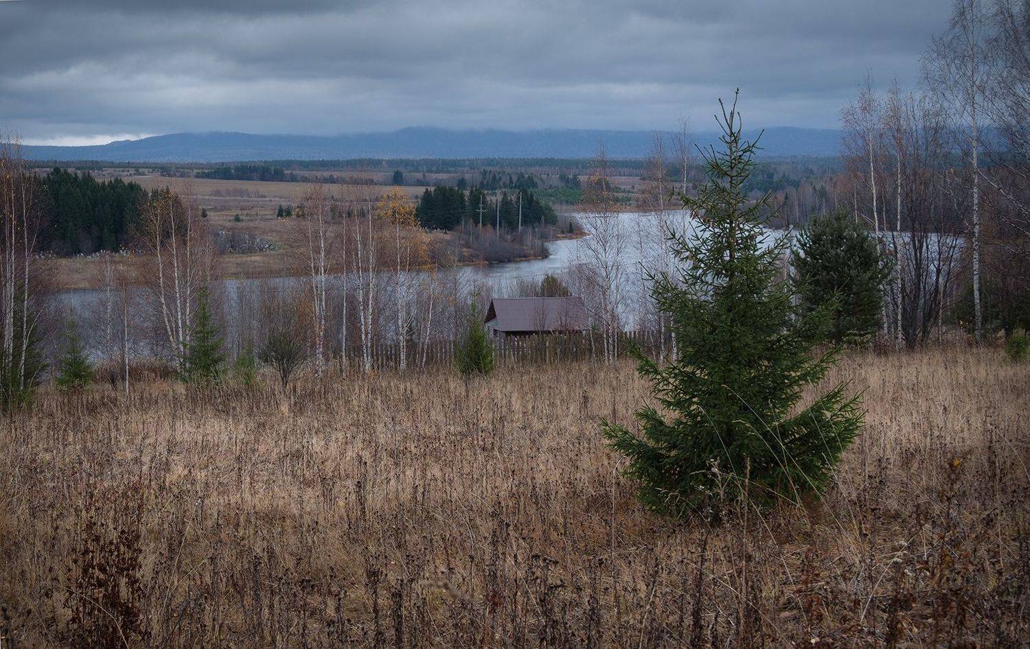 , Александр  Швачко