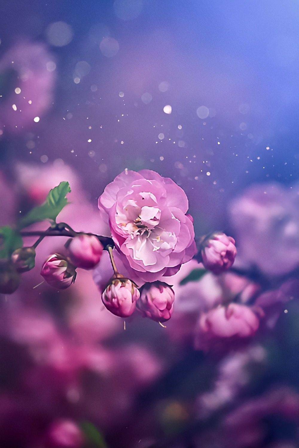 макро, macro, цветы, flowers, весна, spring, миндаль, махровыйминдаль, Julia Kaissa