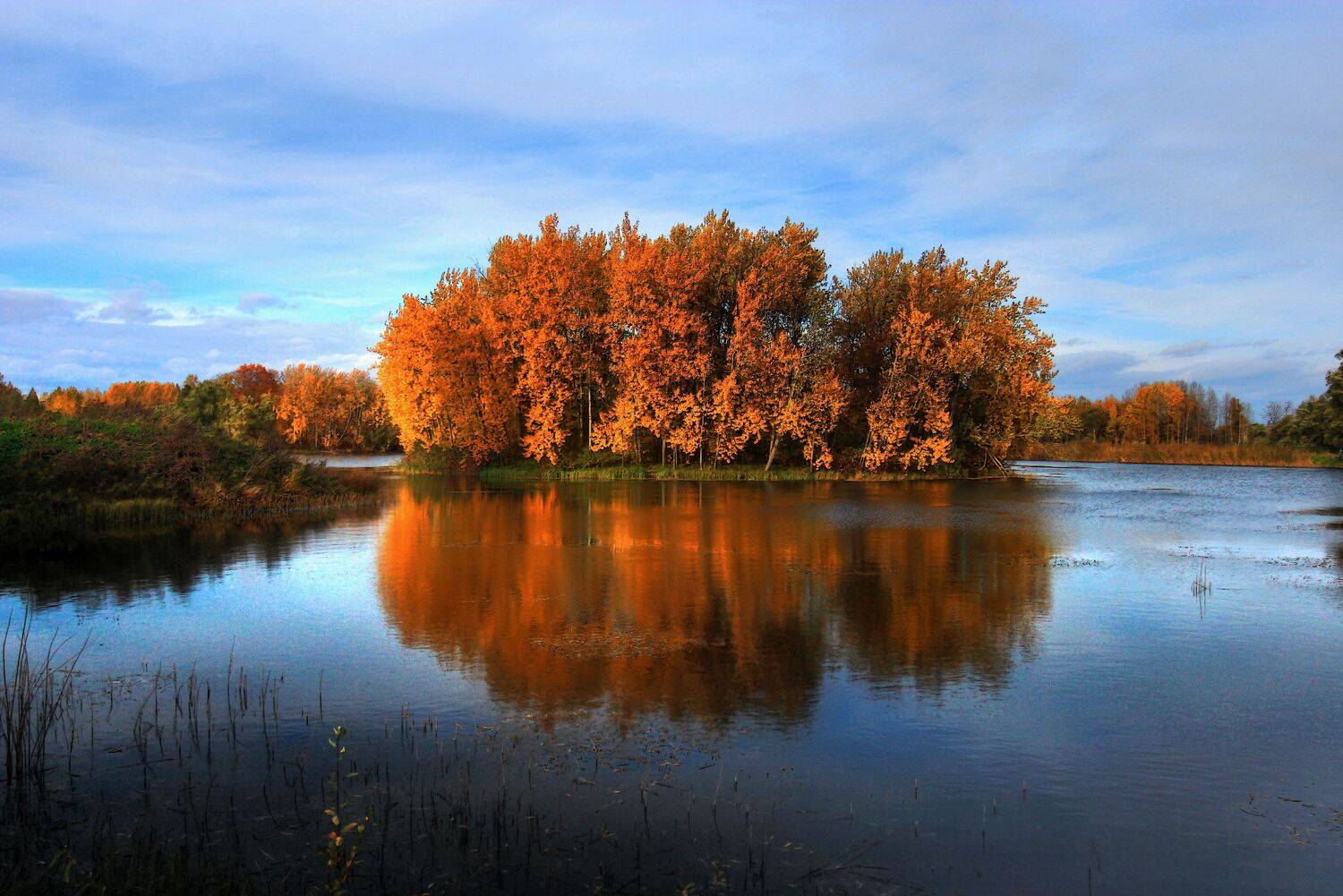 , Сергей Григорьев