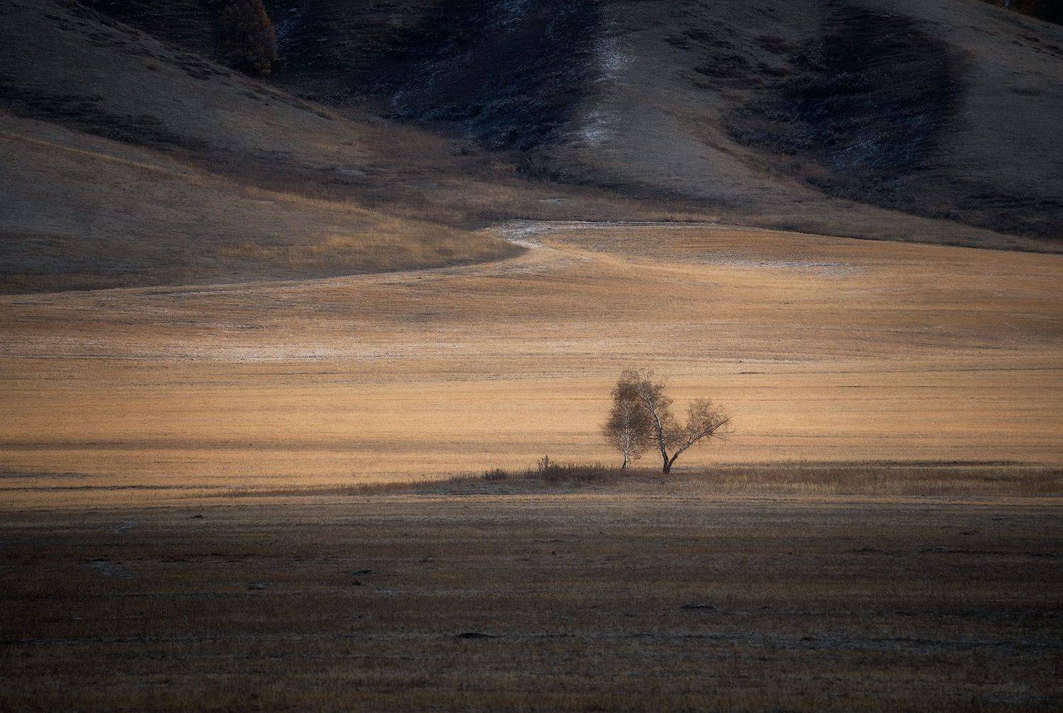 altay, autumn, october, cold, mountains, landscape, Алексей Вымятнин