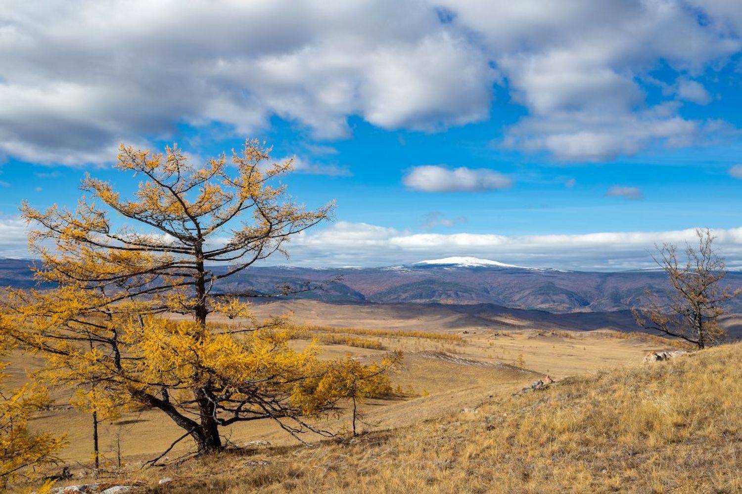 байкал, ольхон, тажеранская степь, Буянов Илья