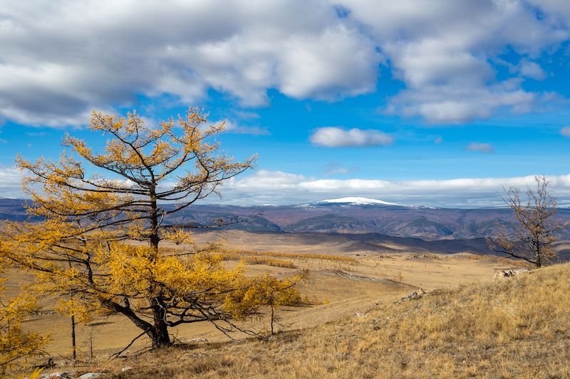 байкал, ольхон, тажеранская степь  фото превью