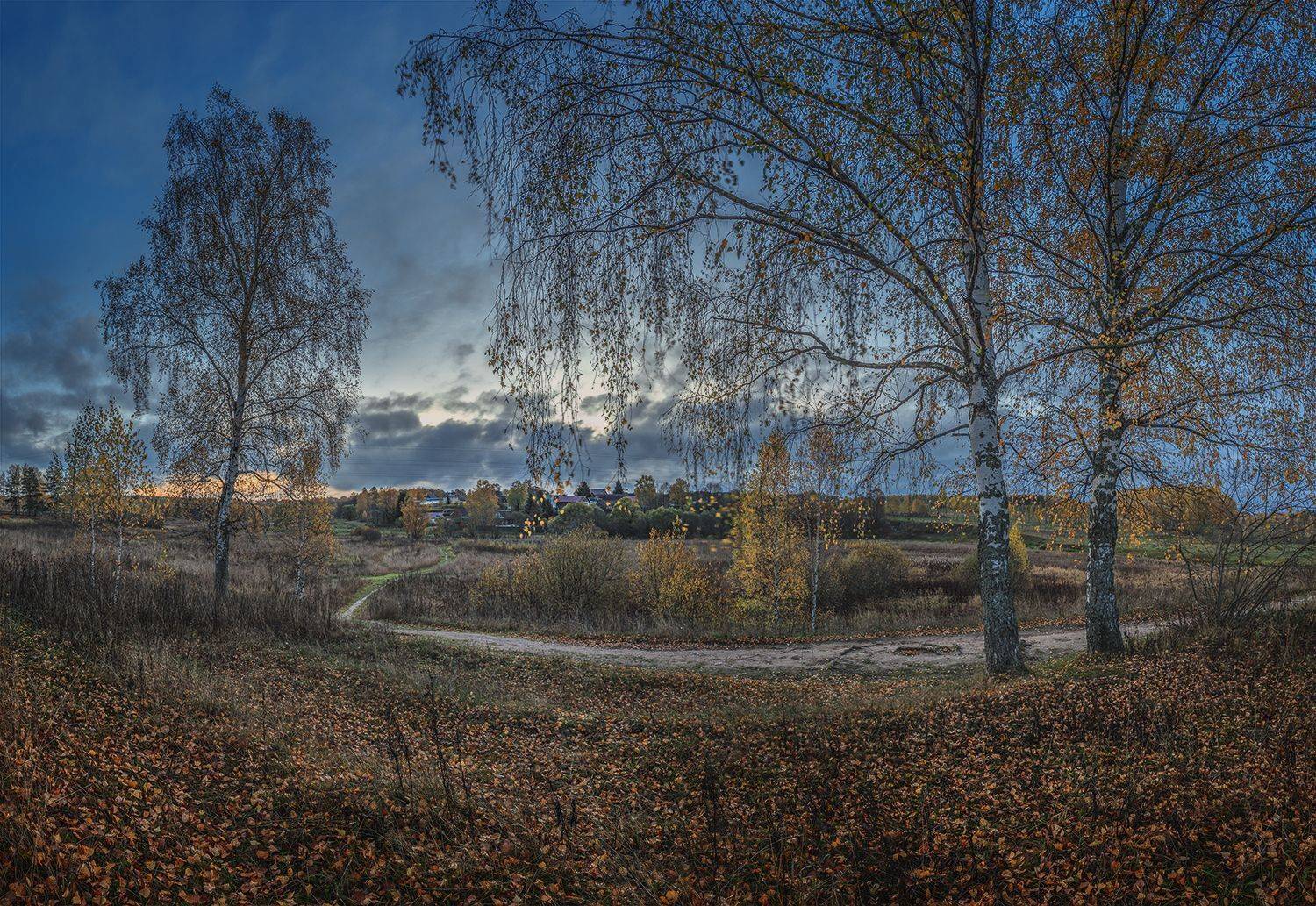 , Андреев Николай