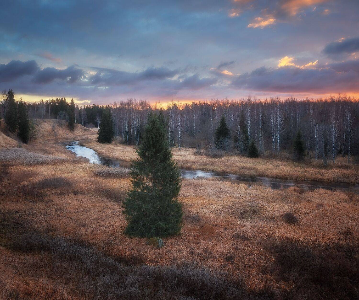 осень, ленобласть, Марголин Алексей
