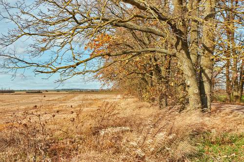 За 2 дня до ноября