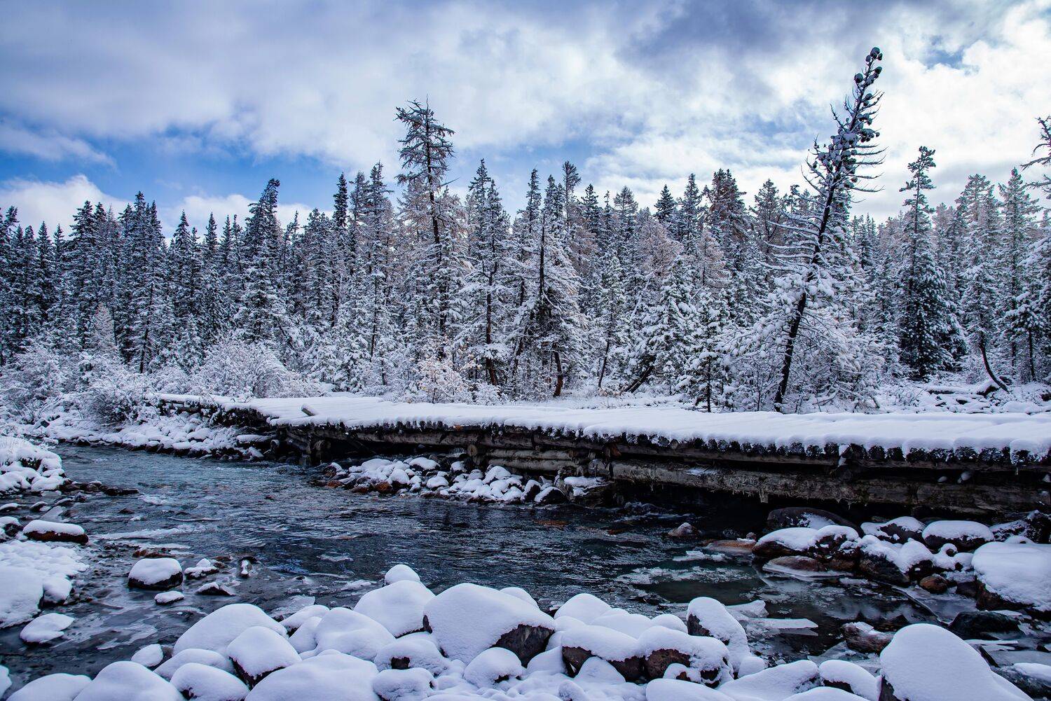 алтай. осень. горы., Евгений Дроботенко