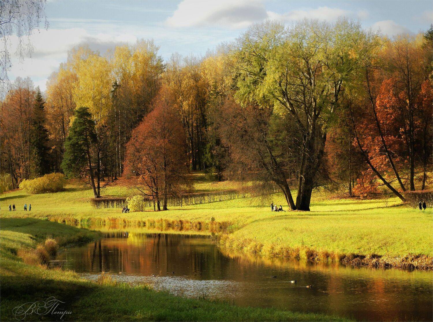 речка деревья люди, Вера Петри