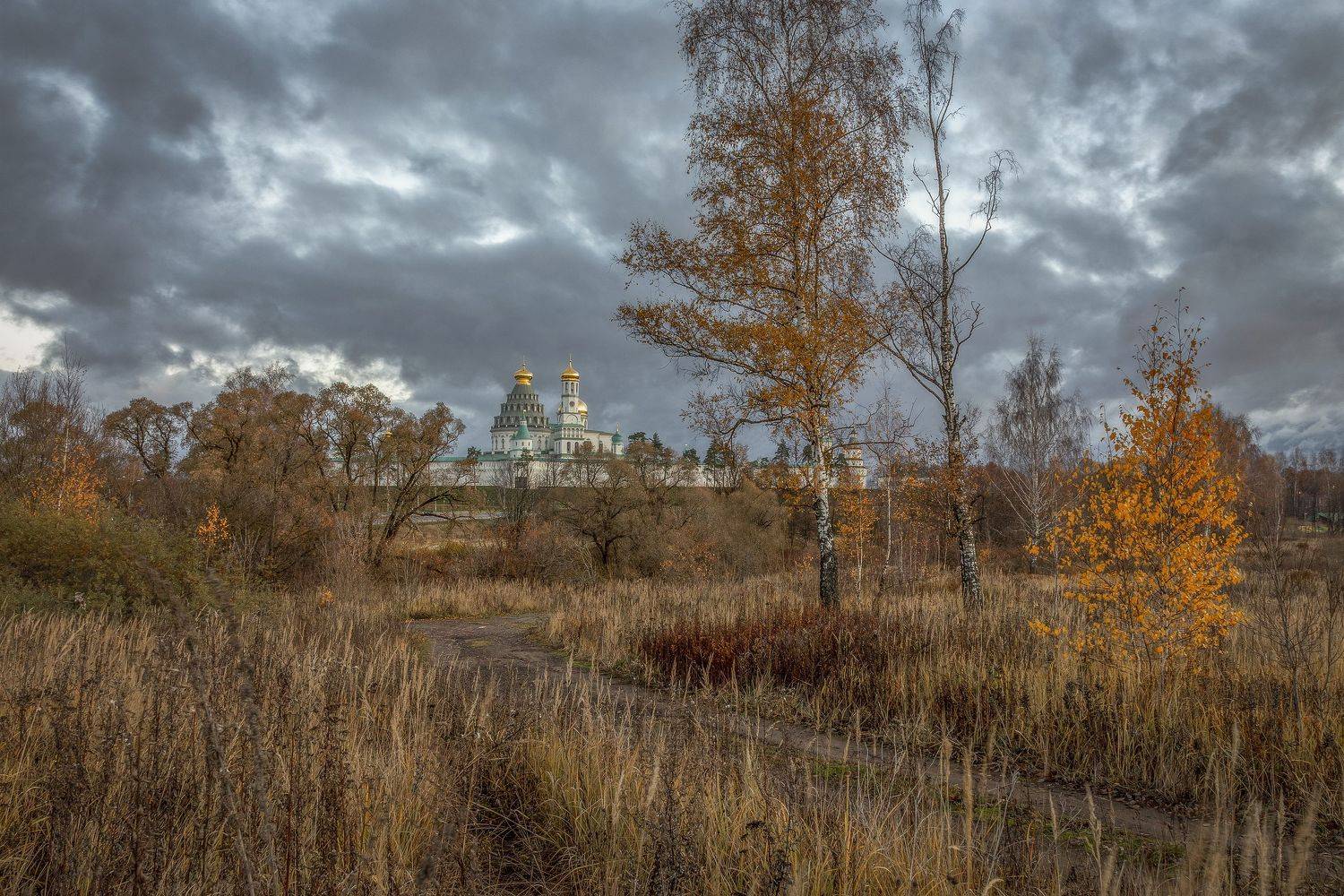 Истрв, Гусева Елена