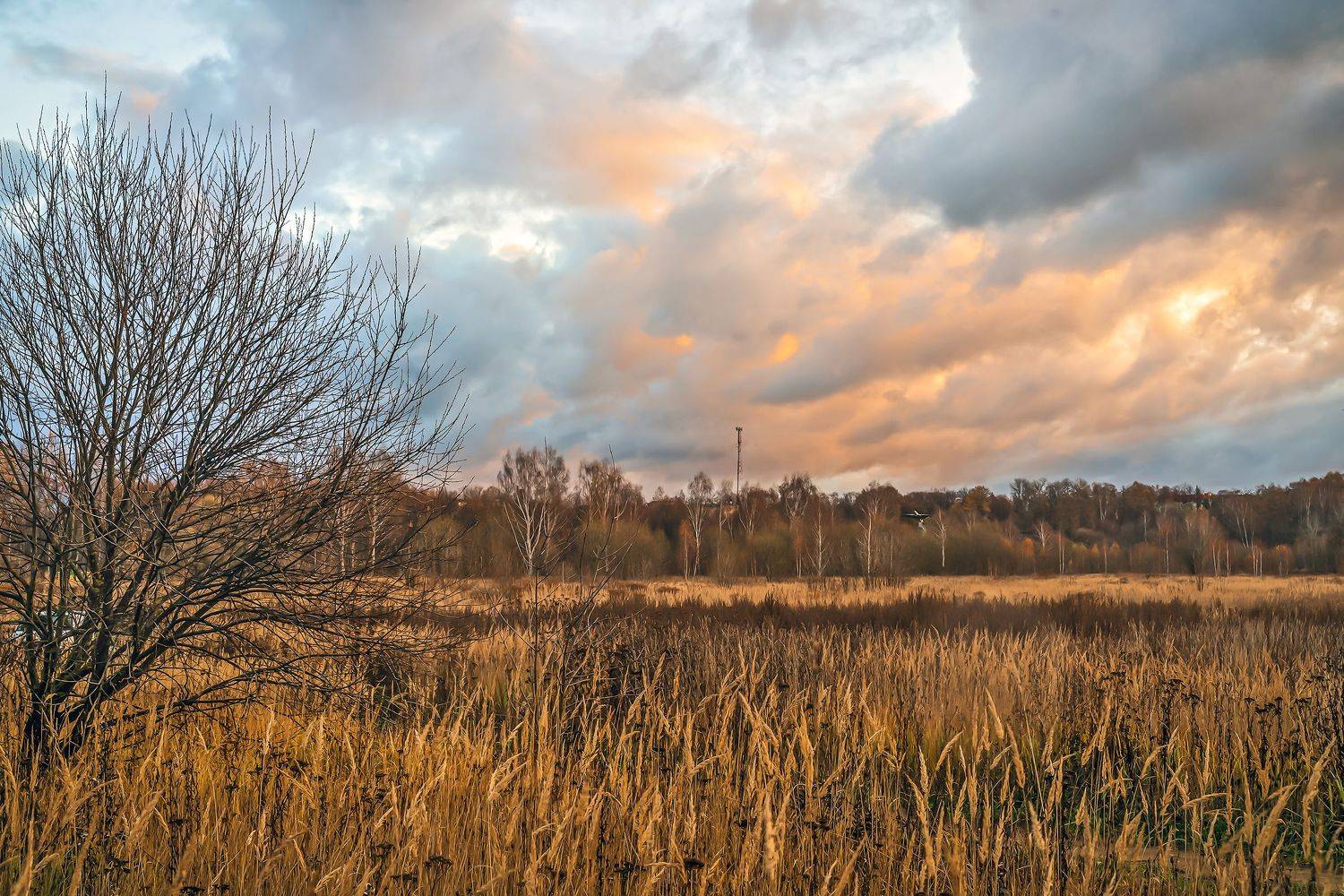 новый иерусалим...., Бирюков Вячеслав