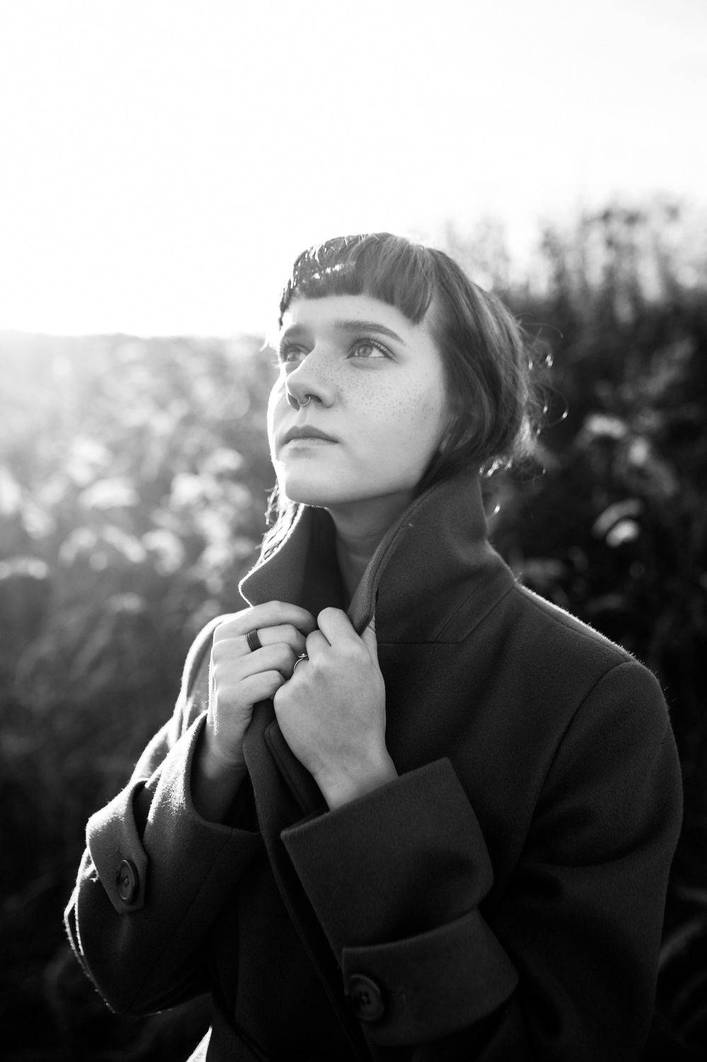 , Дмитрий Плеханов