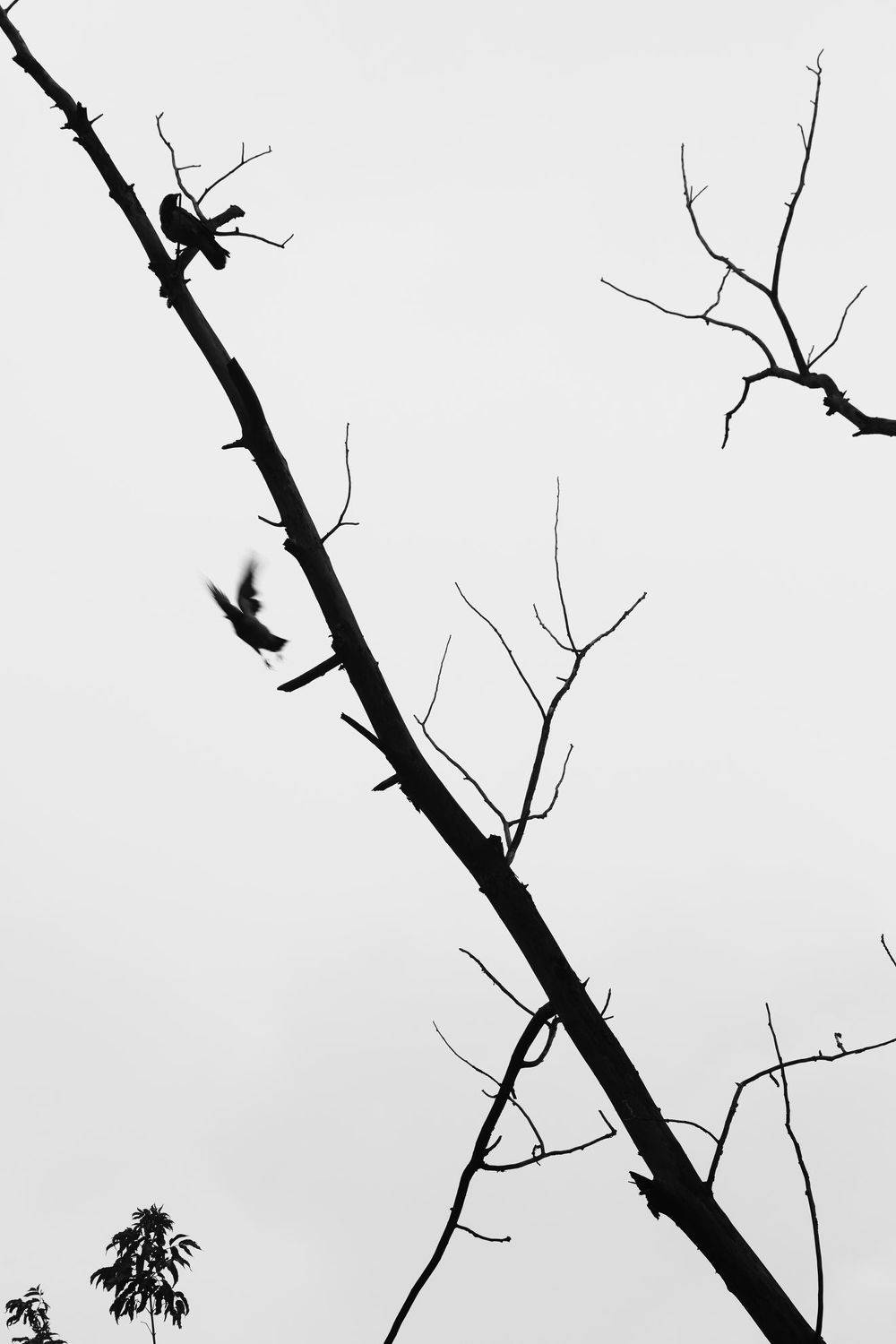 , Алексей Егоров