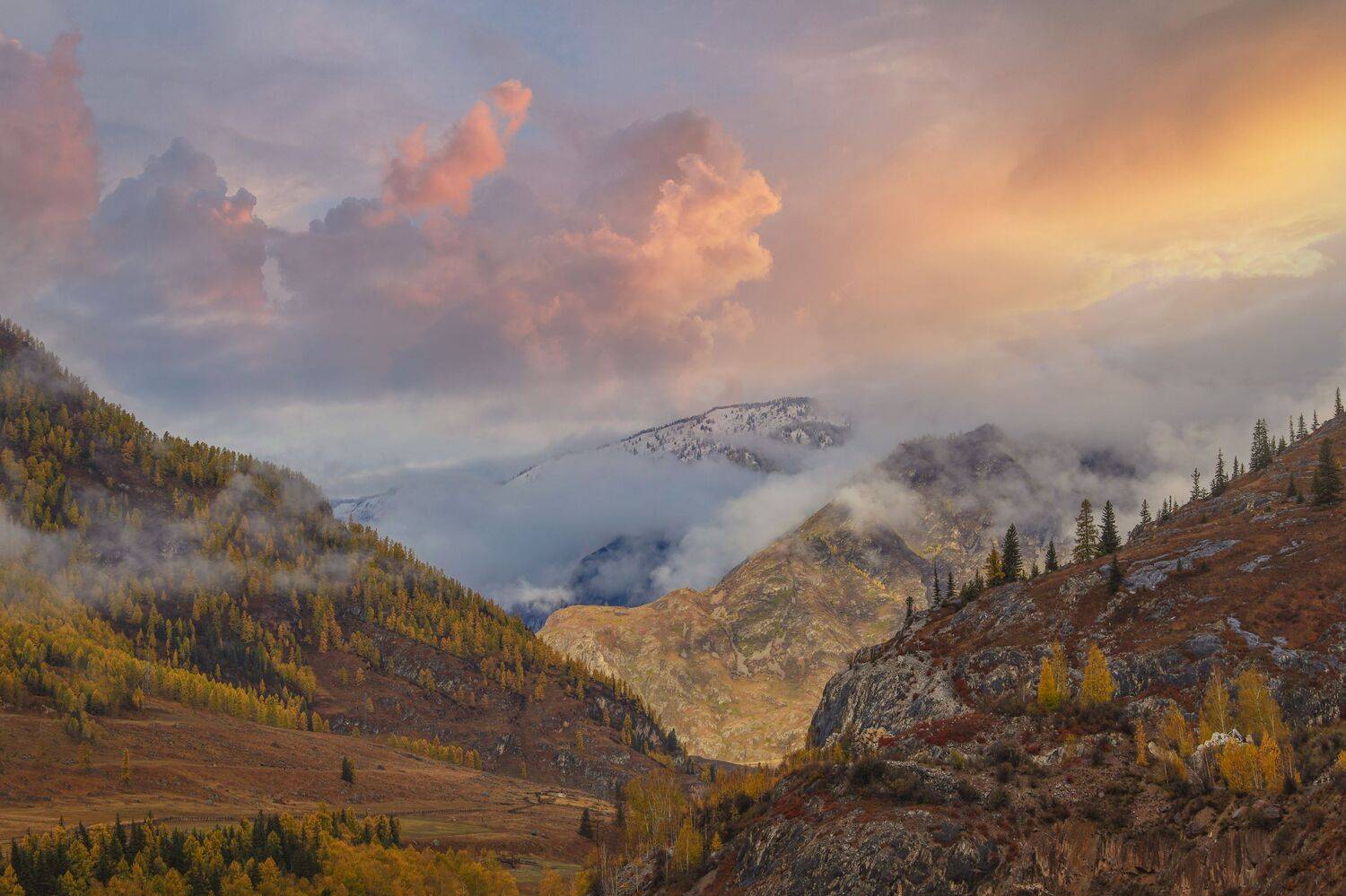 , Константин Буркин