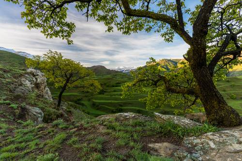 The terrasses of Dagestan