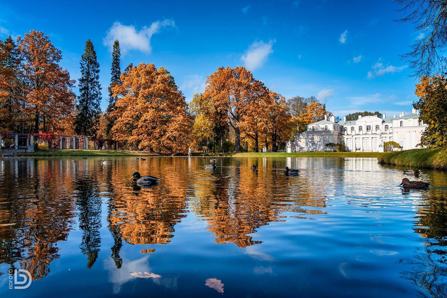 , Дмитрий Бакулин