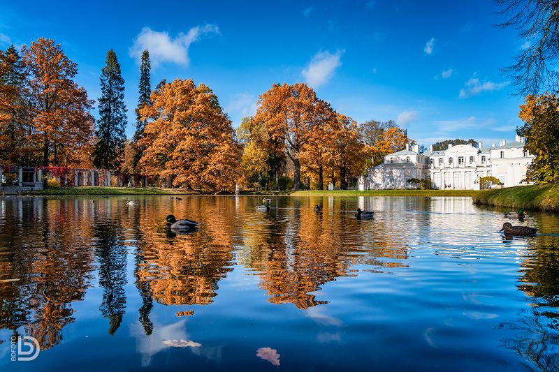 Китайский пруд у Китайского дворца фото превью