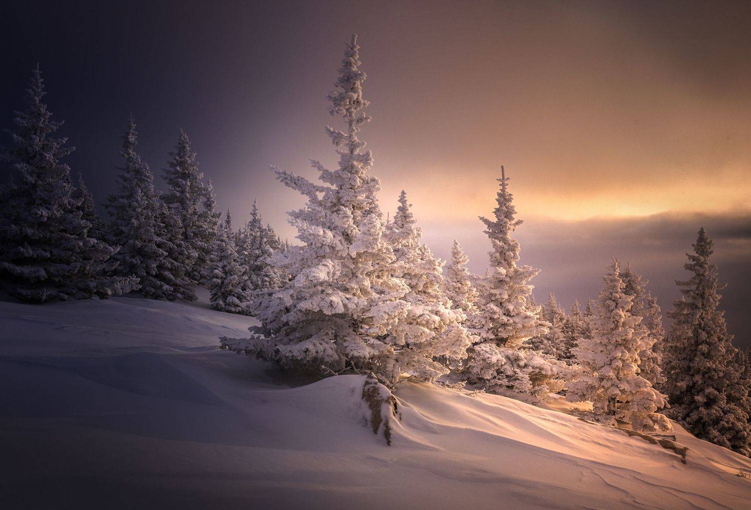 , Татьяна Бирюкова