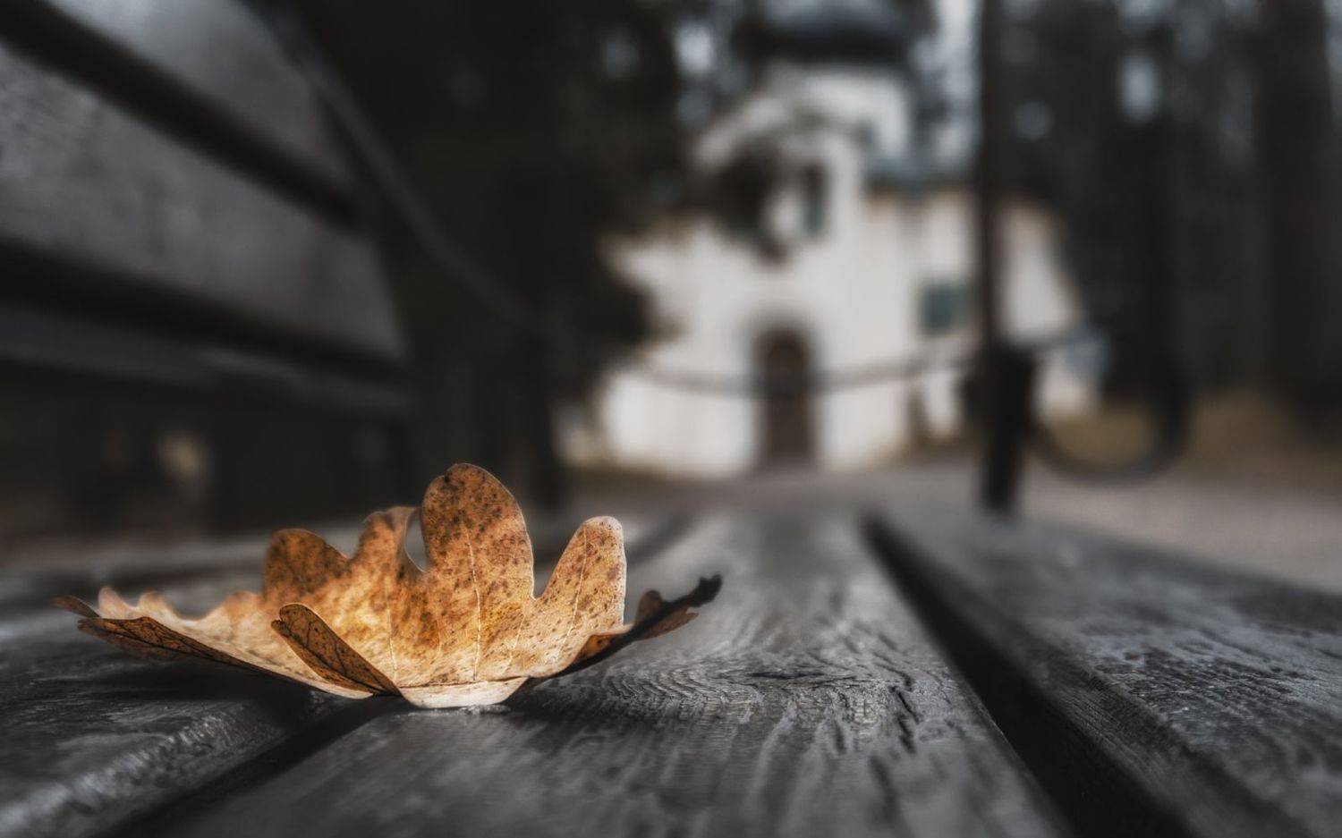 , Олег Дунаев