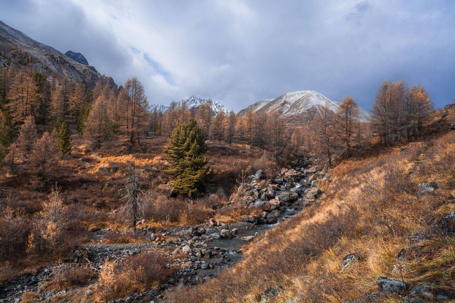 россия, горный алтай,осень, Андрей Поляков