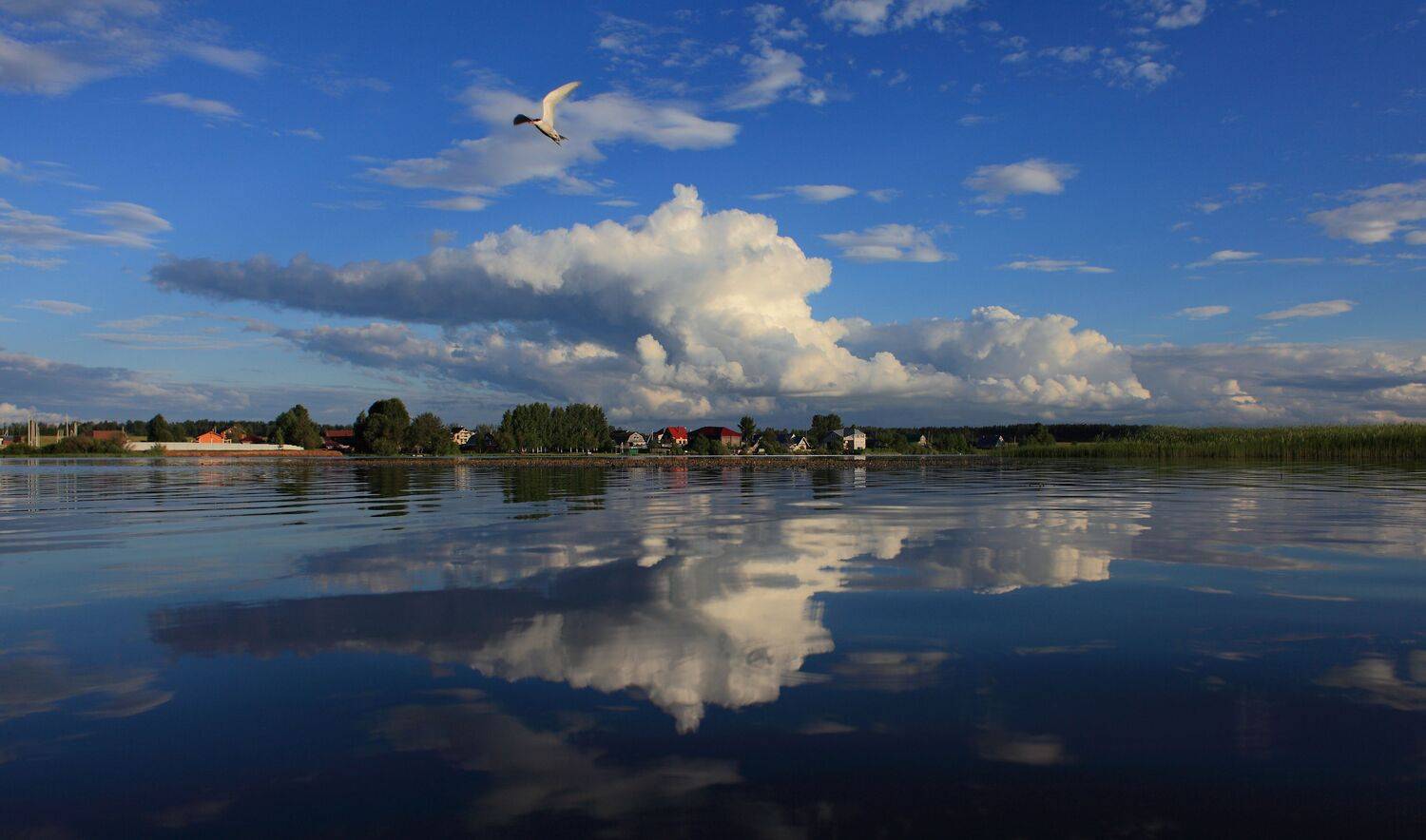 , Андрей Перешеин