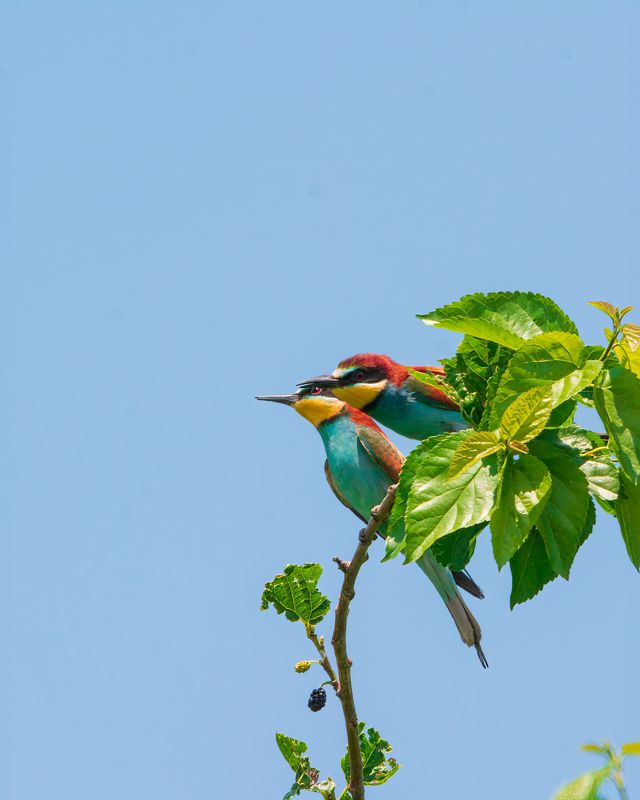 Вдвоем с тобой фото превью