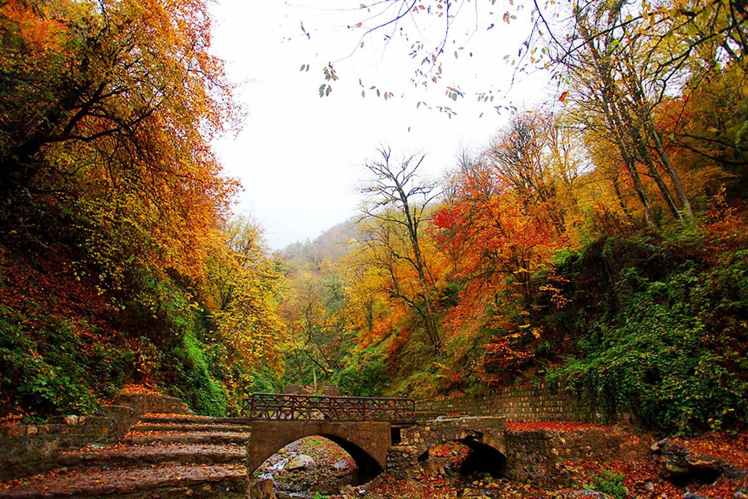 , mehdi karimi souderjani