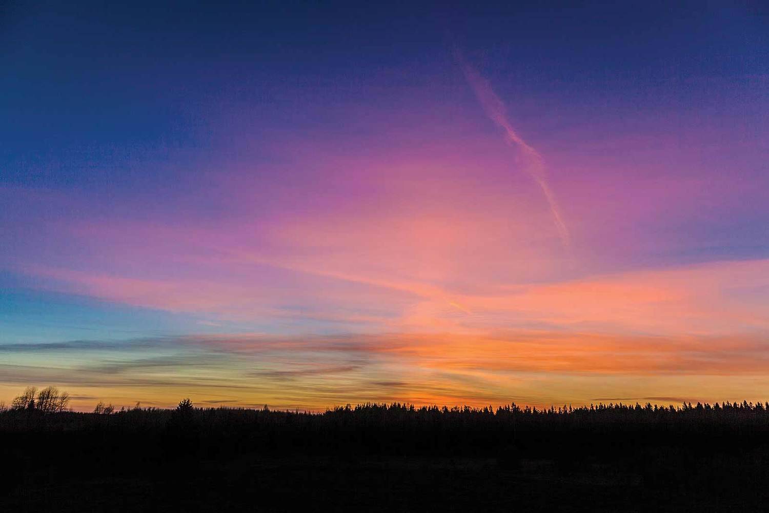 , Напалкин Станислав