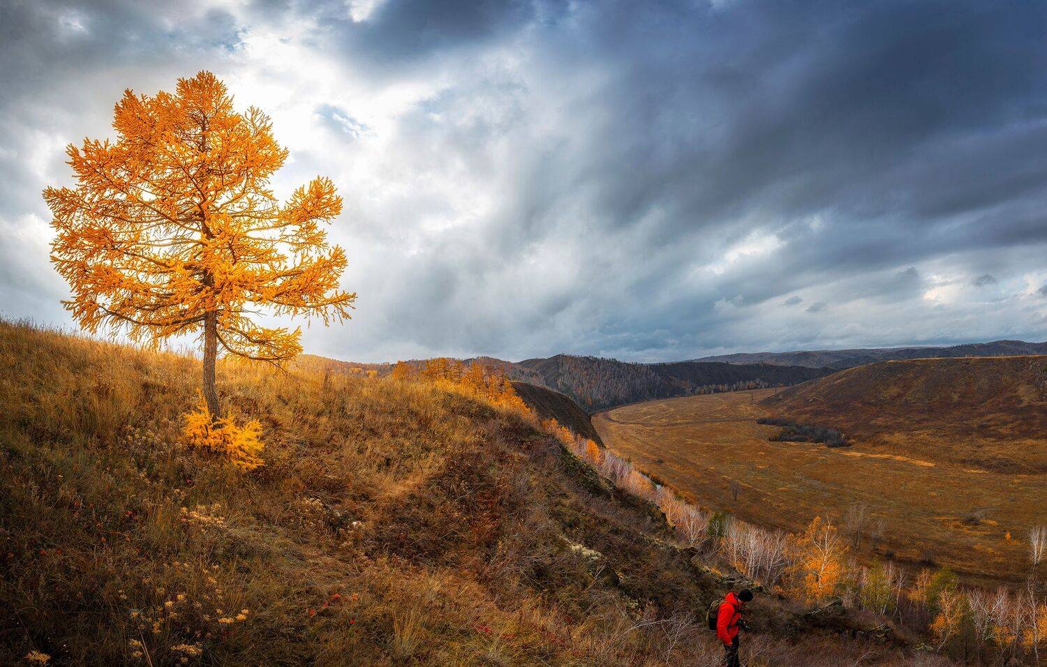 , Антонов Антон