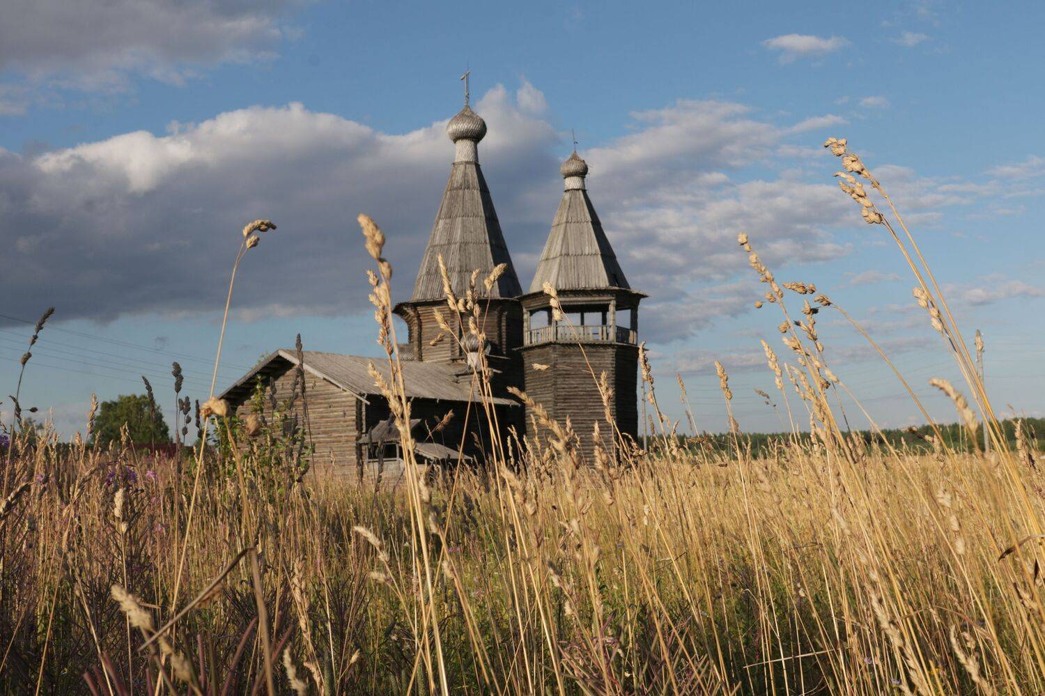 , Добролюбова Тамара