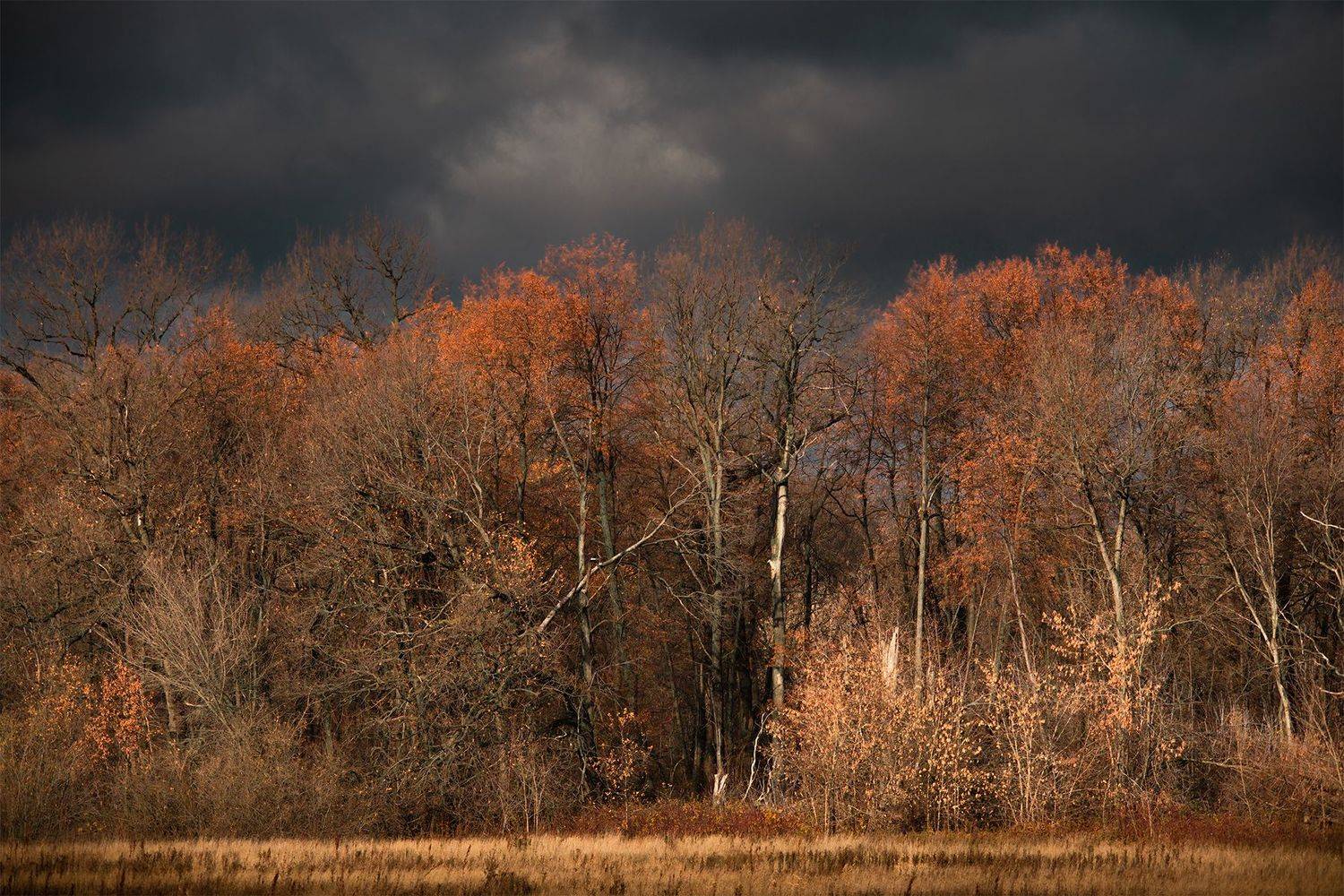 , Чудинин Дмитрий