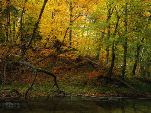 Autumnal color palette