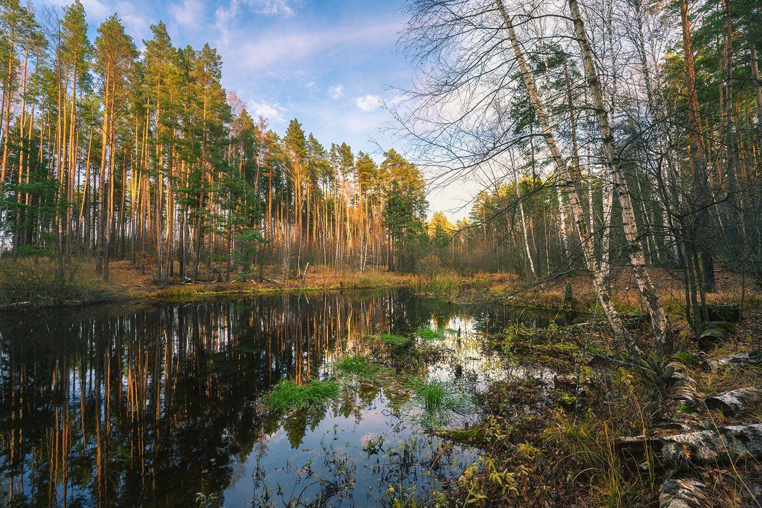 , Игорь Кляхин