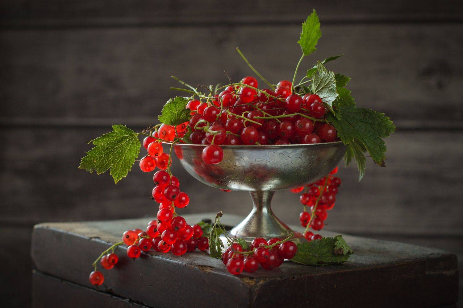 смородина, креманка, ваза, Хвойнова Елена