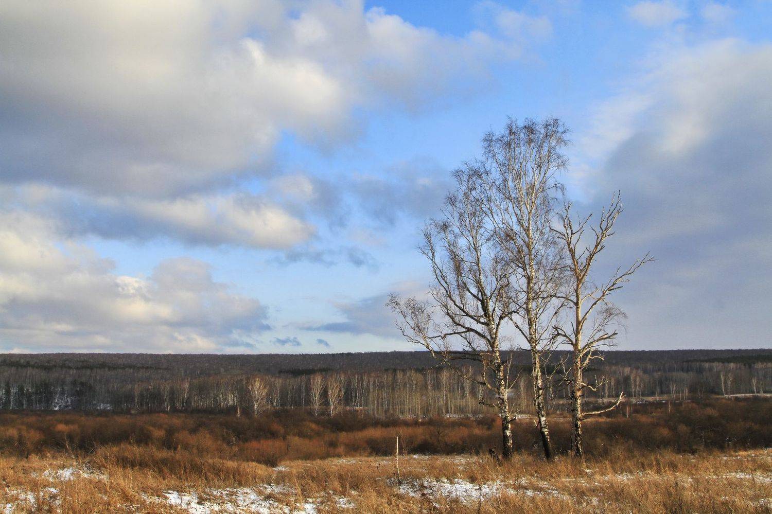 , Гагик Мхитарян