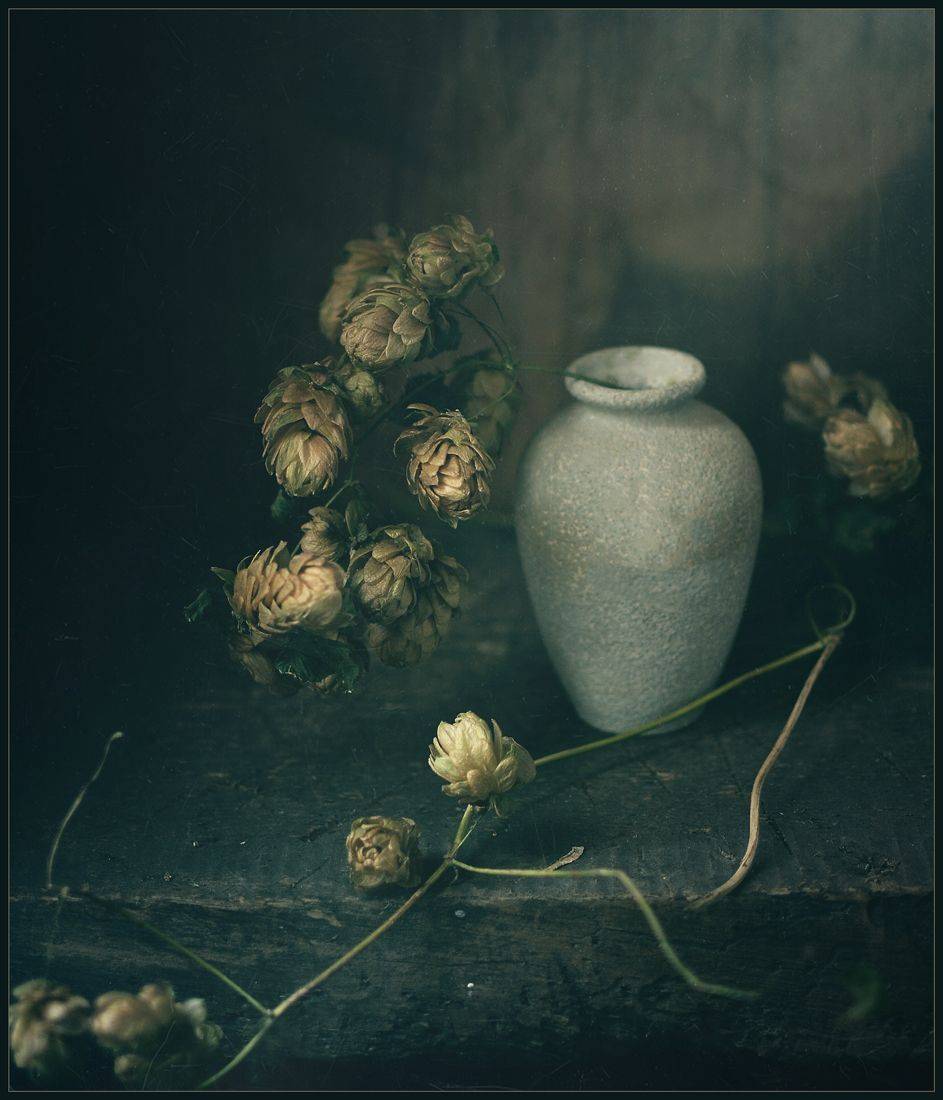 , Хромеев Александр