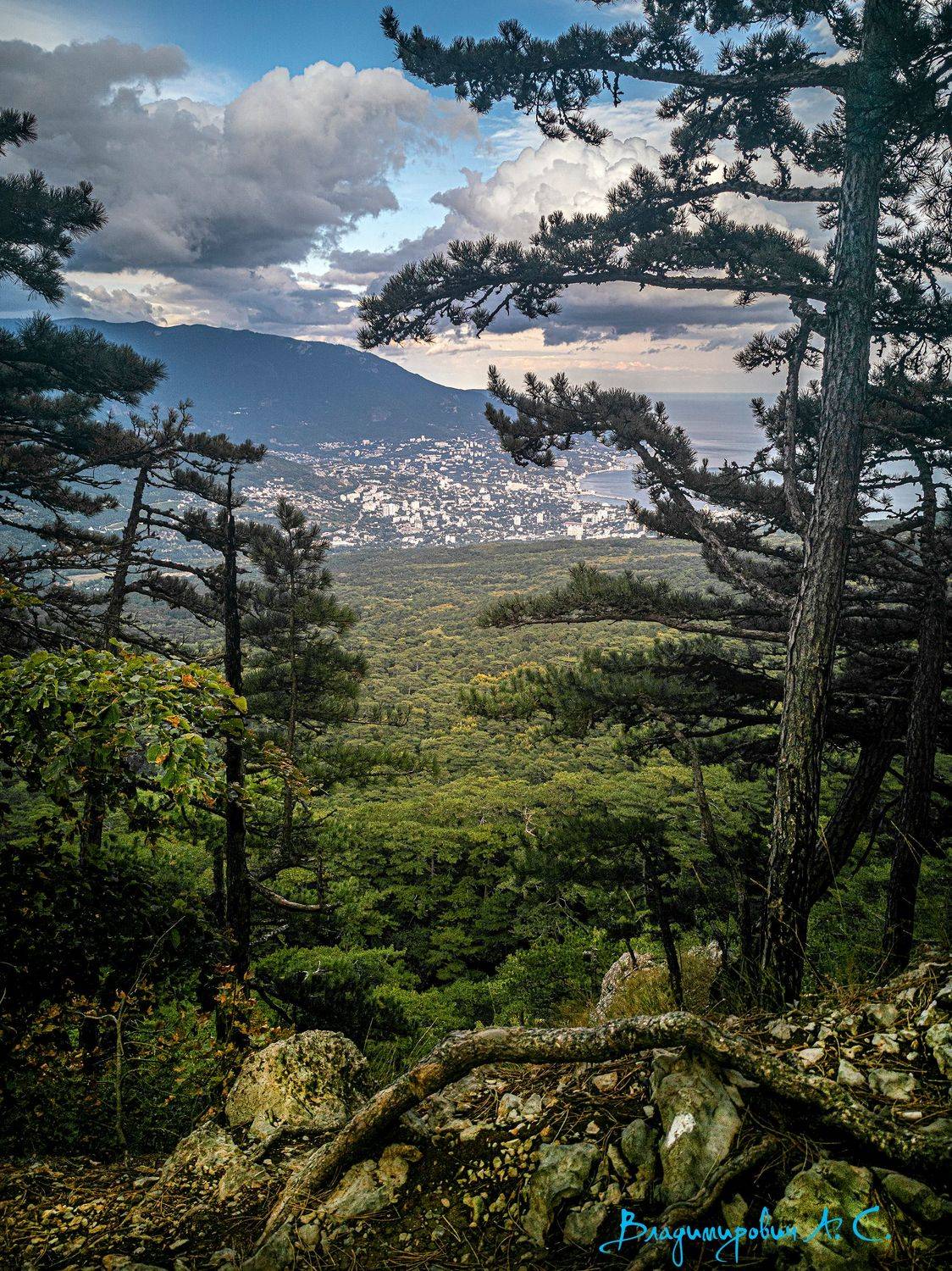 , Алексей Смирнов