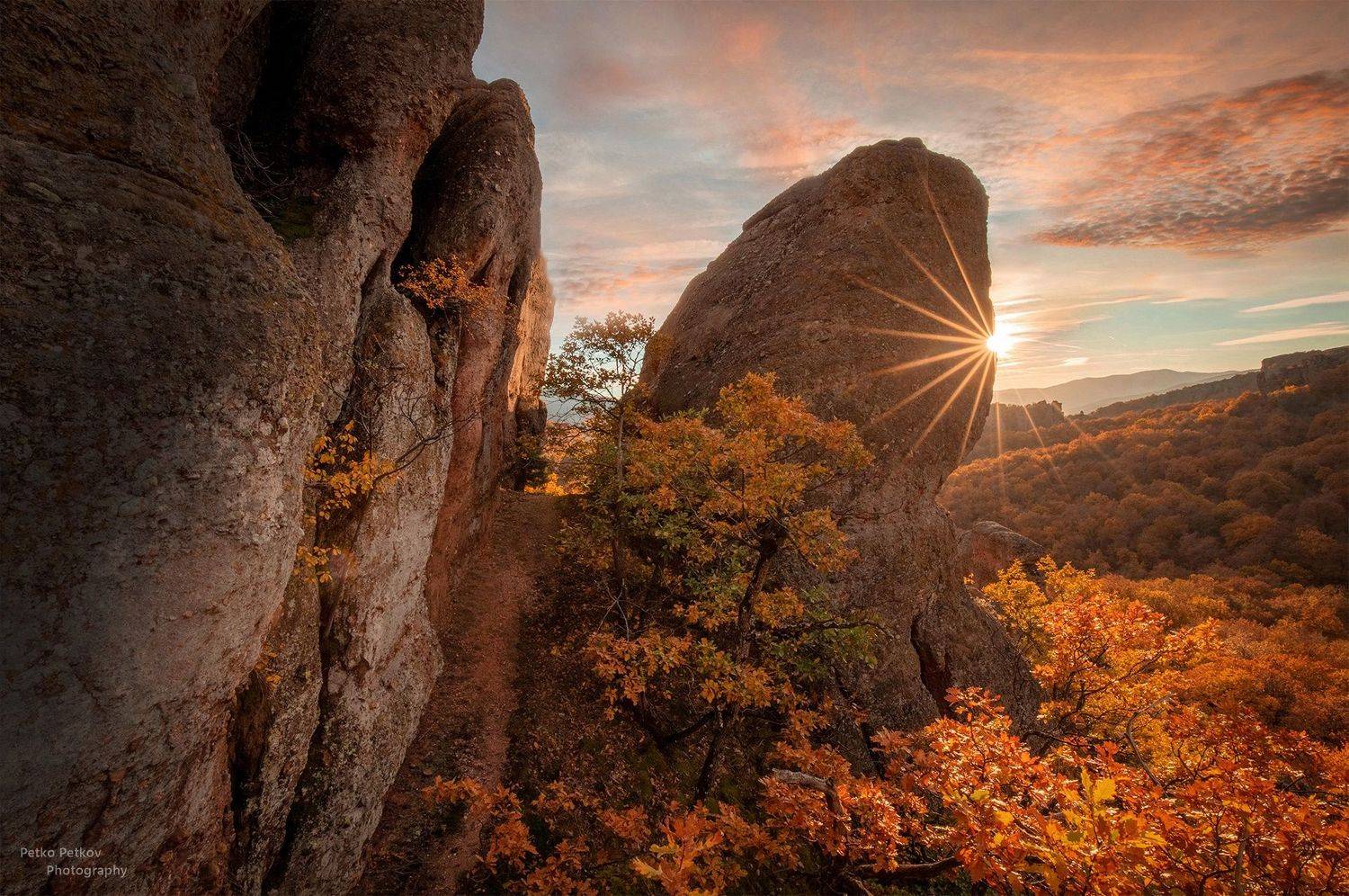 , Петко Петков