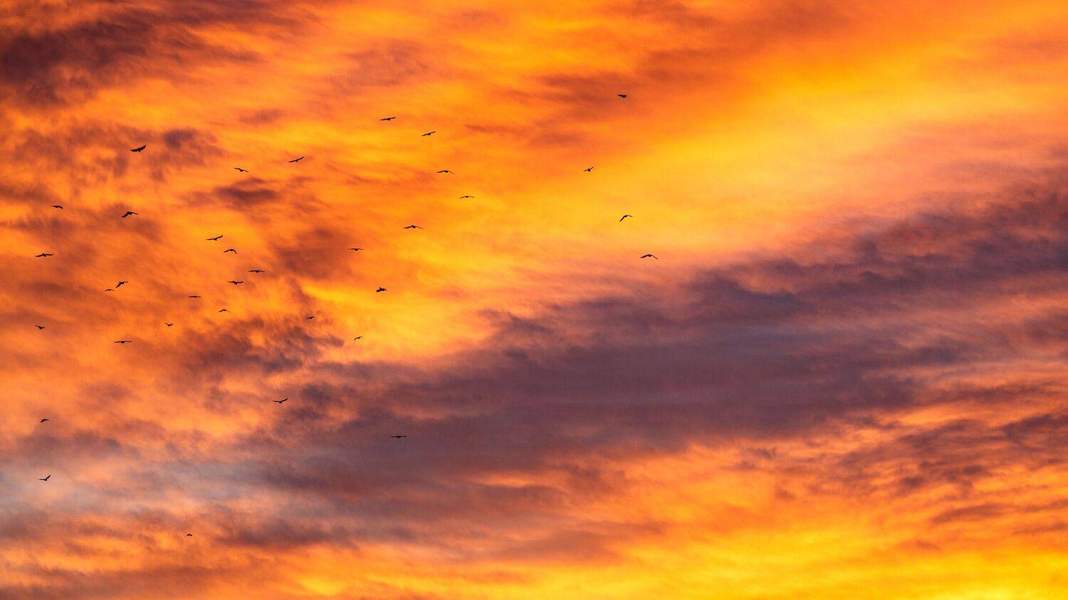 , Юрий Вертиков