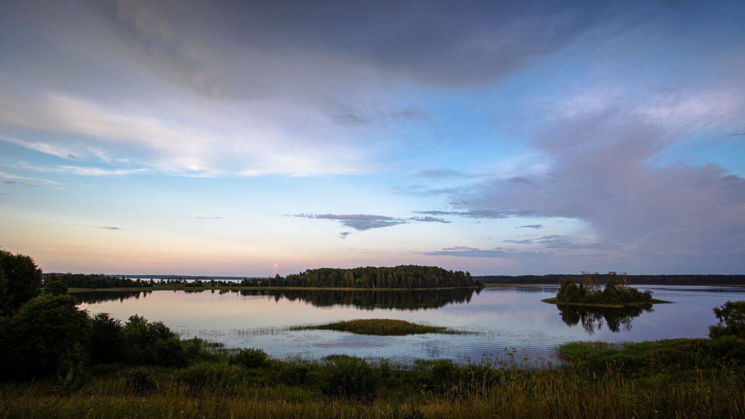 , Бравичева Анастасия