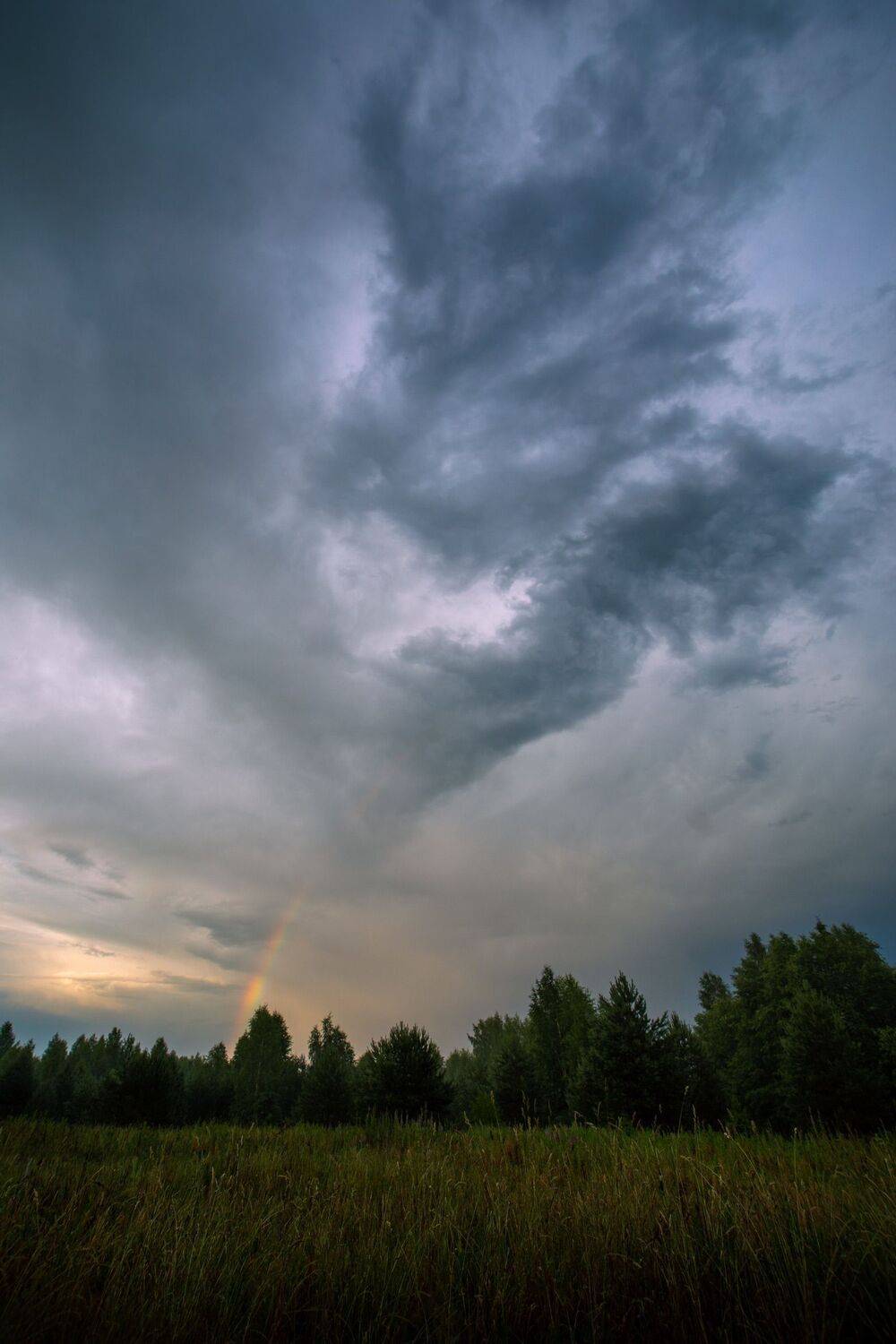 , Бравичева Анастасия