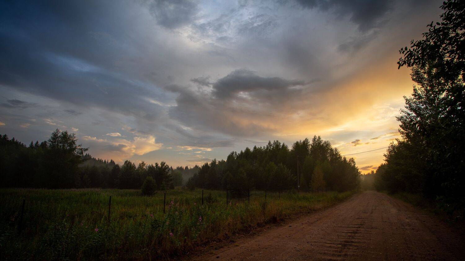 , Бравичева Анастасия