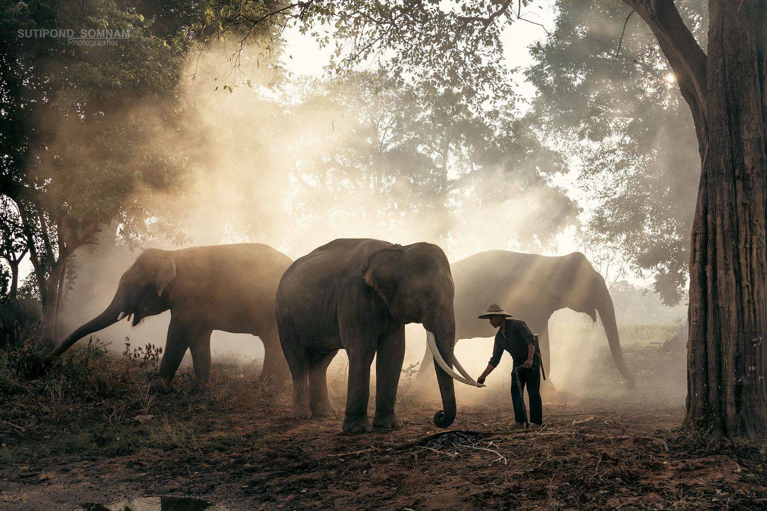 thailand, SUTIPOND SOMNAM