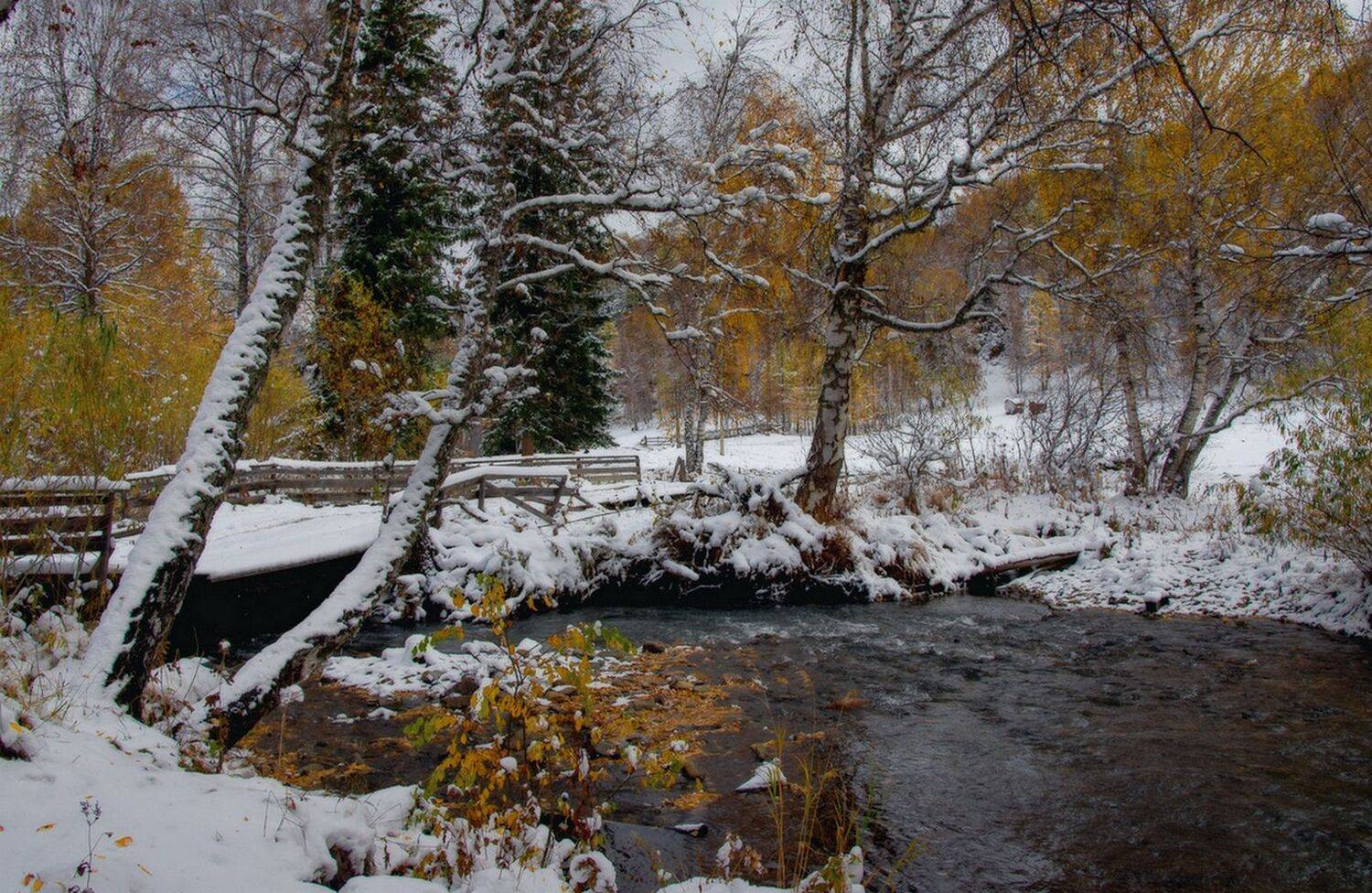 , Вадим Качанов