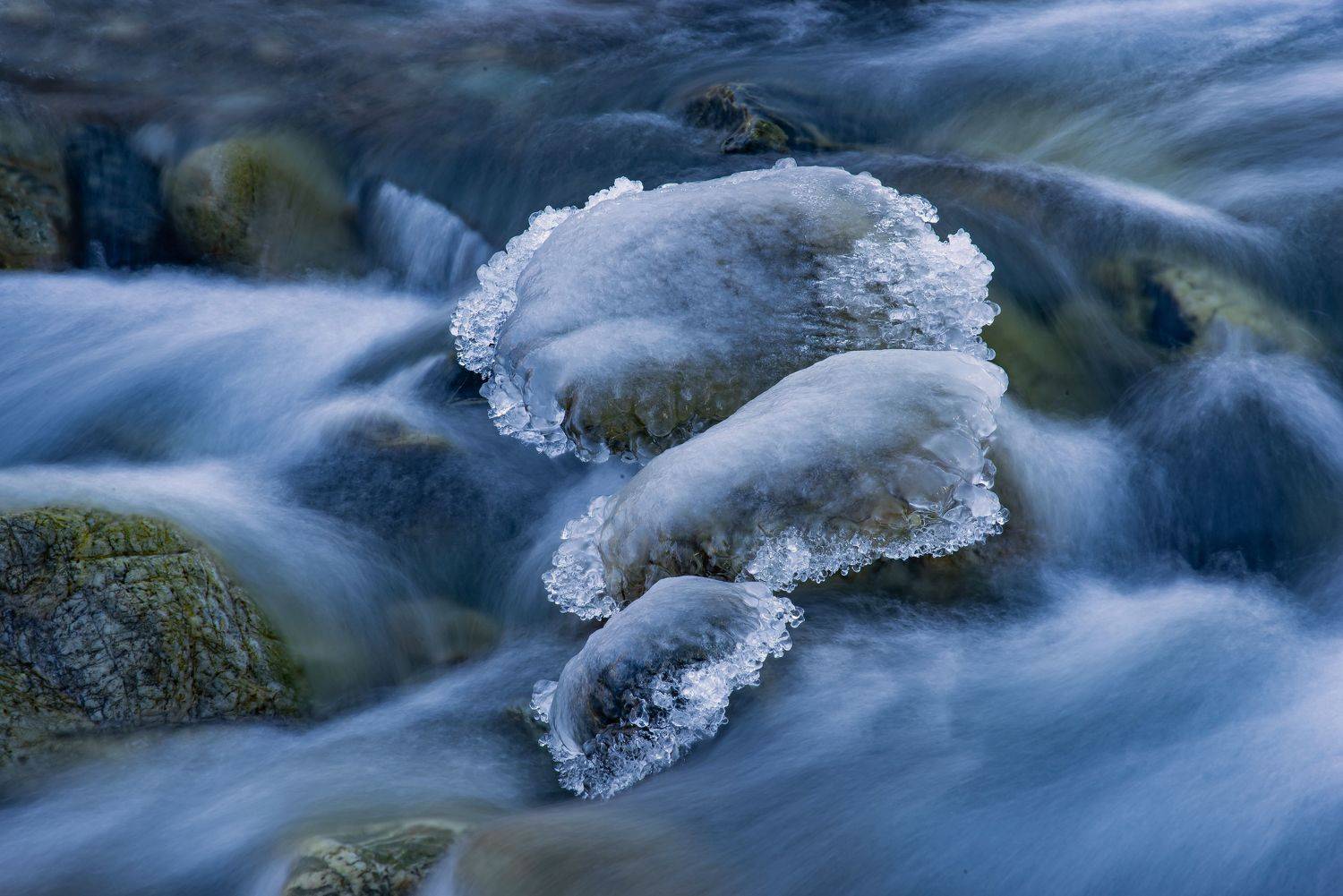 алтай. осень. горы., Евгений Дроботенко