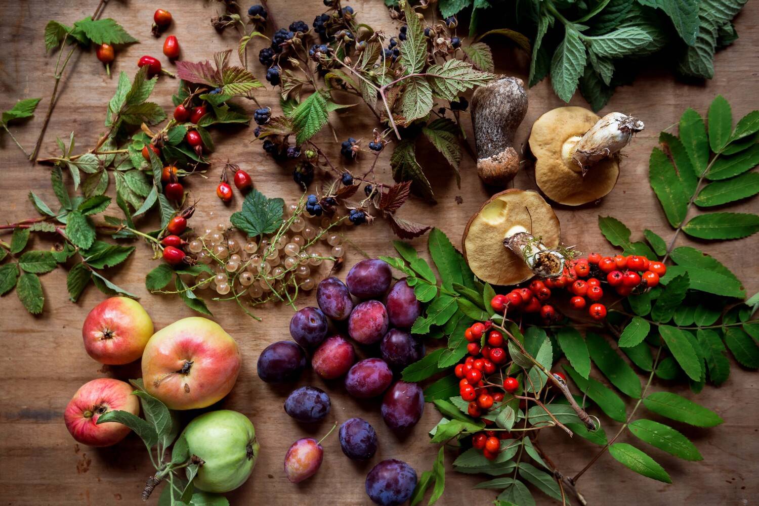 , Чепрасова Мария