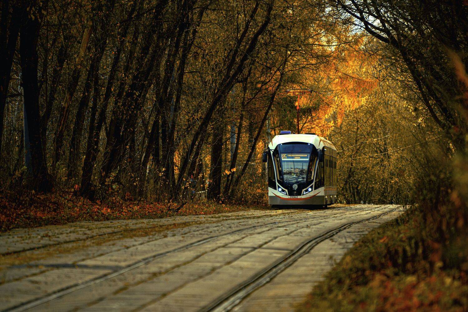 , Сморчков Сергей