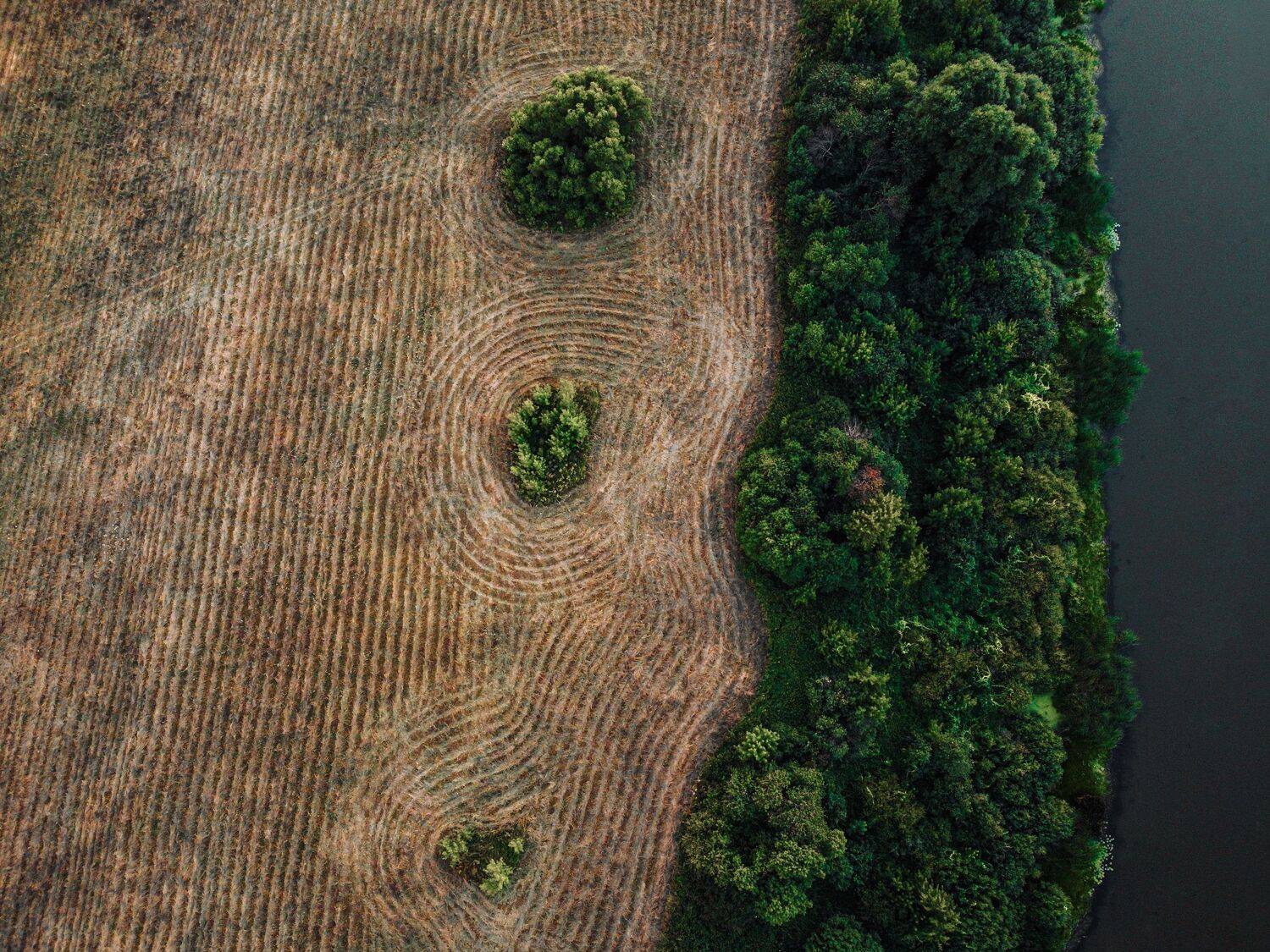 , Сморчков Сергей