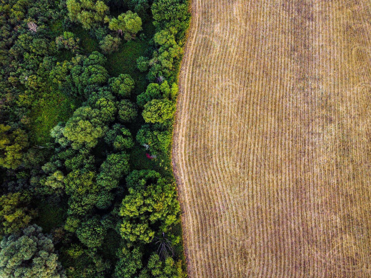 , Сморчков Сергей